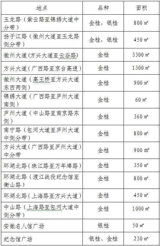 香香香香……真香！到合肥啦！