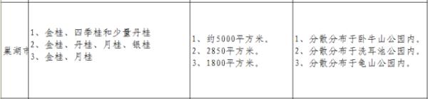 香香香香……真香！到合肥啦！