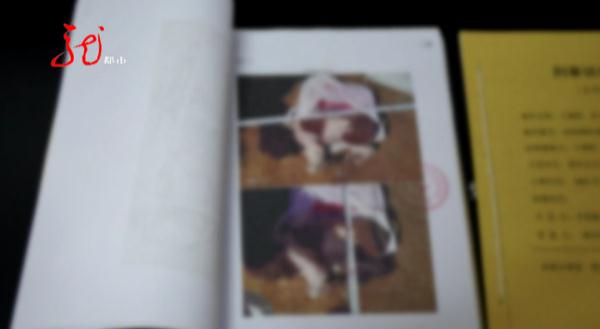 牡丹江一小区11只宠物犬相继被毒死！凶手抓到了……