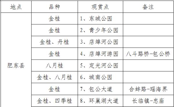 香香香香……真香！到合肥啦！