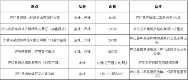 香香香香……真香！到合肥啦！