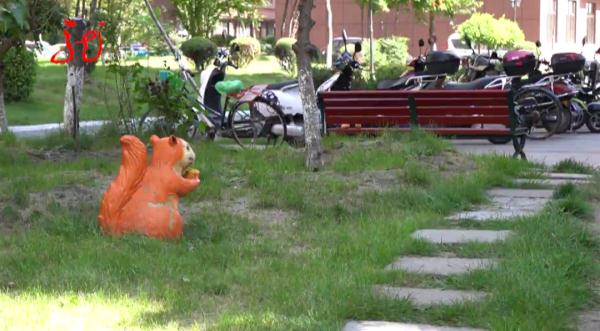 牡丹江一小区11只宠物犬相继被毒死！凶手抓到了……