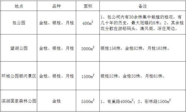 香香香香……真香！到合肥啦！