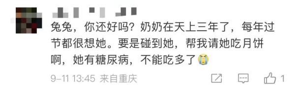 六年了，人们仍没忘记月球上那只“兔子”