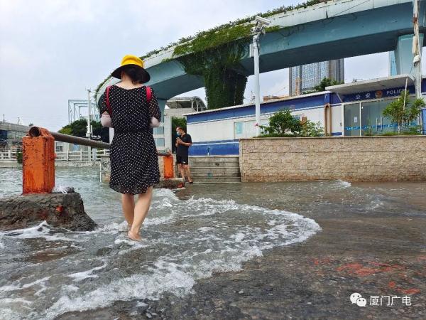 37.3℃,厦门高温预警!强台风“梅花”或将登陆华东!又一台风生成...... 37.3℃,厦门高温预警!强台风“梅花”或将登陆华东!又一台风生成......