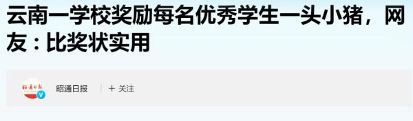 好好读书，奖励小猪！之前奖励的小猪，被吃了吗？
