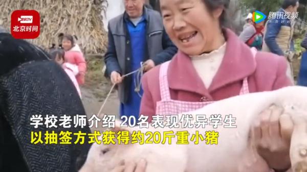 好好读书，奖励小猪！之前奖励的小猪，被吃了吗？