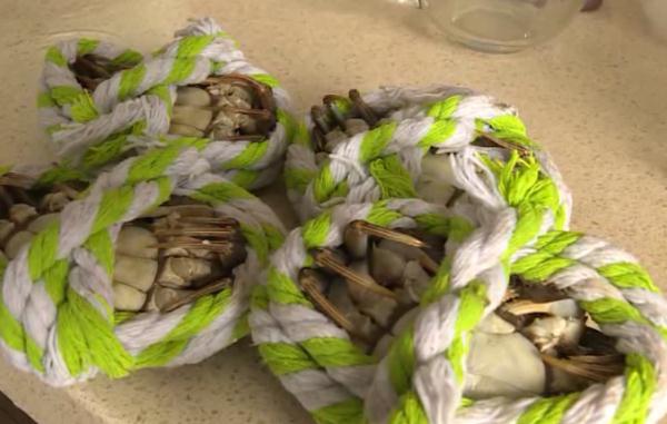 小伙吃了这种蟹后发作癫痫，医生：千万别吃