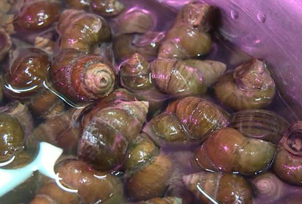 小伙吃了这种蟹后发作癫痫，医生：千万别吃