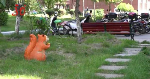 一小区保安毒死11只宠物狗！法院判了...