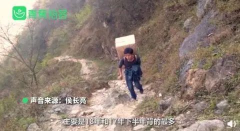 好好读书，奖励小猪！之前奖励的小猪，被吃了吗？