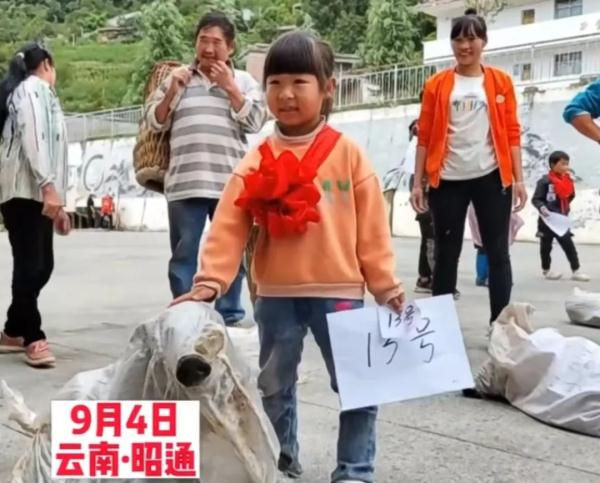好好读书，奖励小猪！之前奖励的小猪，被吃了吗？