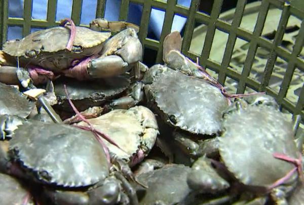小伙吃了这种蟹后发作癫痫，医生：千万别吃