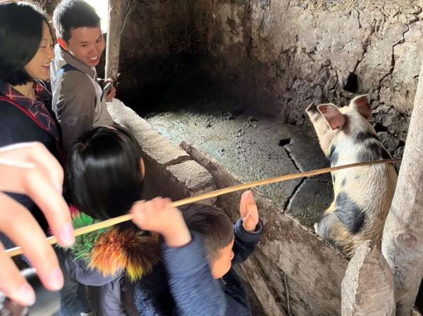 好好读书，奖励小猪！之前奖励的小猪，被吃了吗？