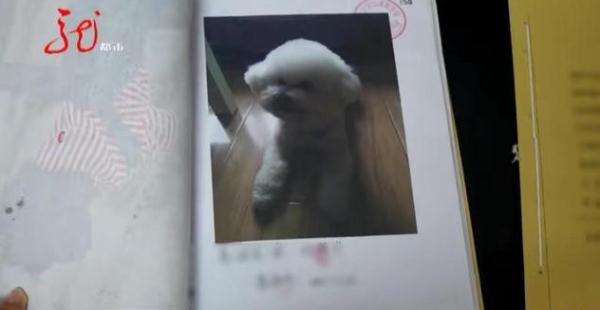 一小区保安毒死11只宠物狗！法院判了...