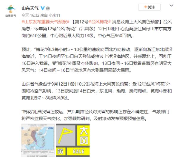 台风“梅花”可能于16日进入山东，未来青岛局部或有暴雨，具体天气→