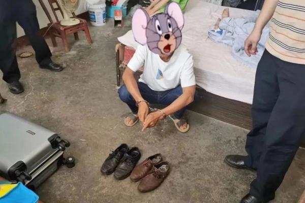 【百日行动】零口供逮捕“白日鼠”——桃源警方破获一跨区域系列入室盗窃案件纪实