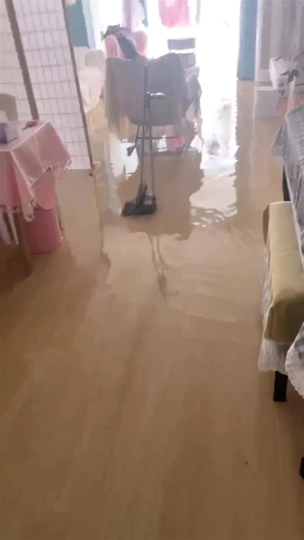这只猫技能惊人！半夜开水闸淹了家...当事人：打不过怎么办？