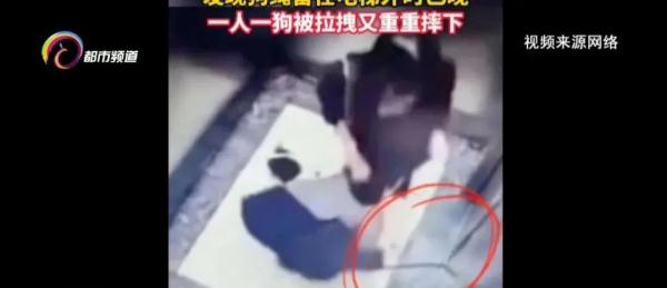 【监控】吓人！狗绳被电梯门夹住，女子试图拉绳被带到半空……