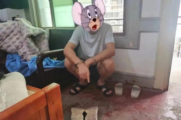 【百日行动】零口供逮捕“白日鼠”——桃源警方破获一跨区域系列入室盗窃案件纪实