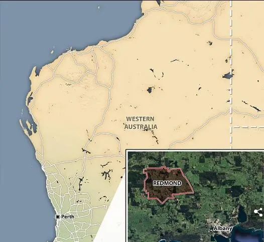 86年来首例！澳77岁男子把袋鼠从小养大 却遭其袭击不幸死亡