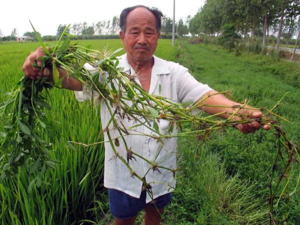 男子在广西这水库放生有害鱼种，见者有福？警方已介入调查！