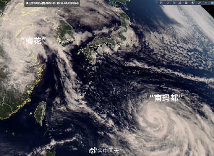 1950年来登陆上海最强台风！全面深扒“梅花”厉害之处