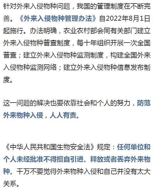 男子在广西这水库放生有害鱼种，见者有福？警方已介入调查！