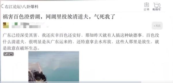 男子在广西这水库放生有害鱼种，见者有福？警方已介入调查！