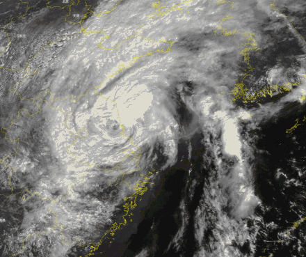 1950年来登陆上海最强台风！全面深扒“梅花”厉害之处