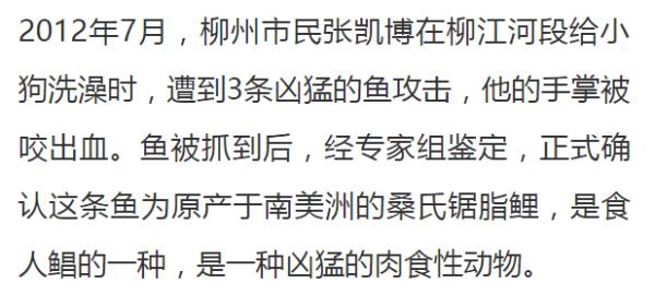 男子在广西这水库放生有害鱼种，见者有福？警方已介入调查！