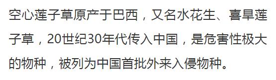 男子在广西这水库放生有害鱼种，见者有福？警方已介入调查！