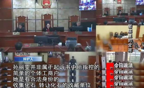 两百余件化石被扣！女子倒卖九千万年前鱼龙“龙下蛋”化石，获刑九年
