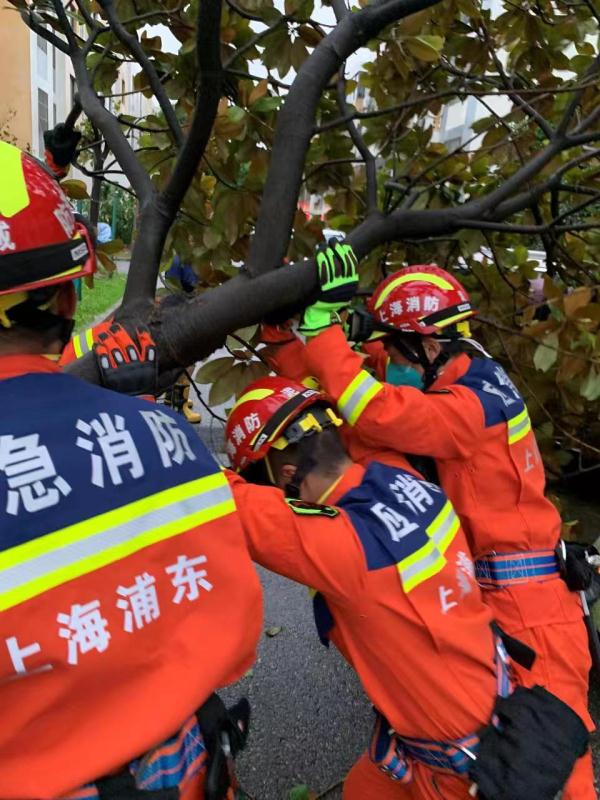 上海这样迎战70多年来最强登陆台风