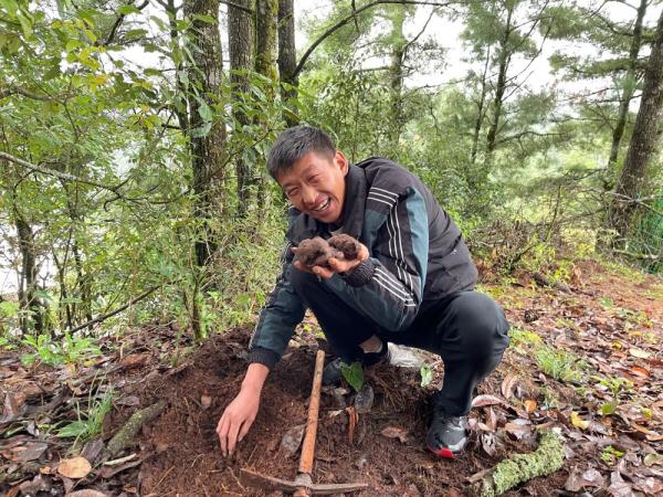 楚雄大姚：绿水青山里的“黑钻石”