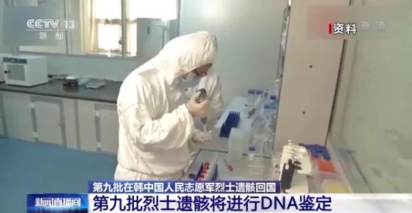 DNA鉴定、建立档案、专人保管……让英雄“无名”变“有名”！