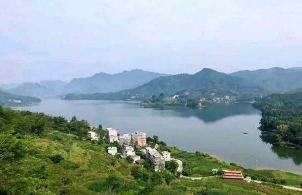 某酸奶宣称从老人肠道采集益生菌,公司:宣传语过于直白 某酸奶宣称从老人肠道采集益生菌,公司:宣传语过于直白