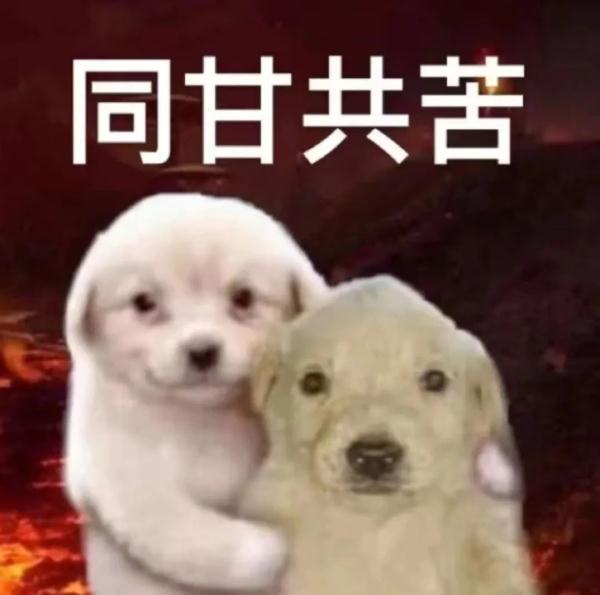 我真的不知道该怎么回复好了！