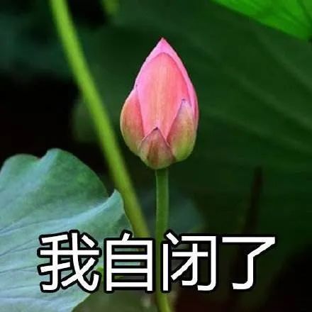 我真的不知道该怎么回复好了！