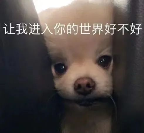 我真的不知道该怎么回复好了！
