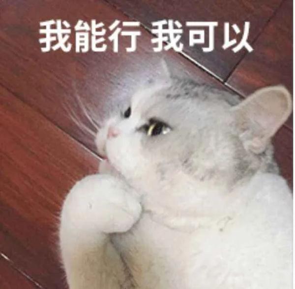 我真的不知道该怎么回复好了！