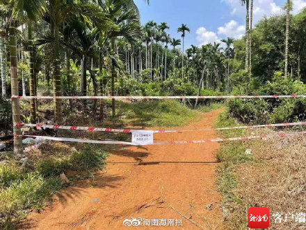 海口一男子被野蜂围攻 严重蜇伤需血液透析