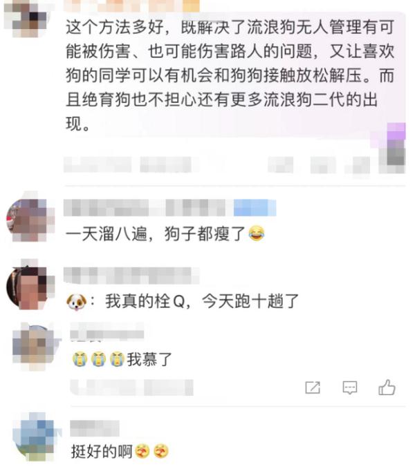 上海一大学学生争相遛狗 微信群：没有狗了... 狗子：1天遛8遍，我都瘦了...