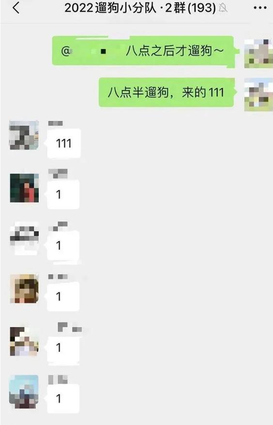 上海一大学学生争相遛狗 微信群：没有狗了... 狗子：1天遛8遍，我都瘦了...