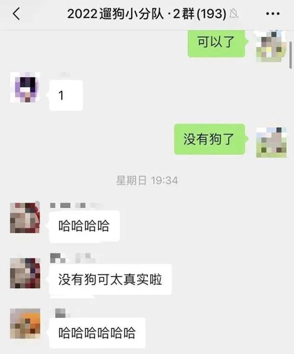 上海一大学学生争相遛狗，狗子：1天遛8遍，我都瘦了！发生了什么？