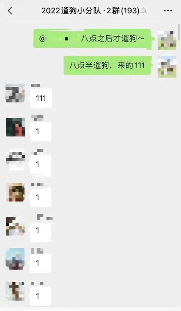上海一大学学生争相遛狗，狗子：1天遛8遍，我都瘦了！发生了什么？