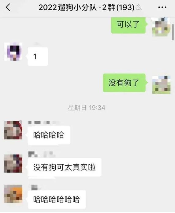 上海一大学学生争相遛狗 微信群：没有狗了... 狗子：1天遛8遍，我都瘦了...