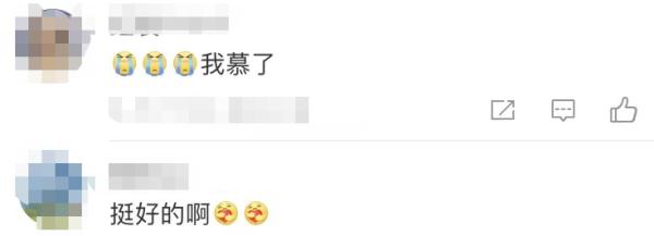 上海一大学学生争相遛狗，狗子：1天遛8遍，我都瘦了！发生了什么？