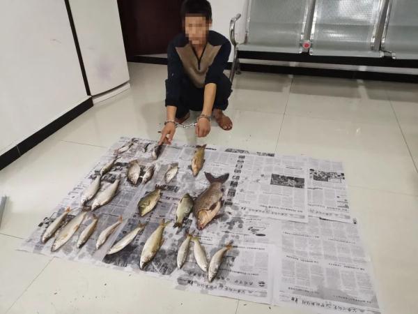 想吃“野味”深夜到嘉陵江捕鱼，男子捉到岩原鲤担刑责！