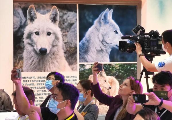 世界首例！这个冰河时期的幸存者克隆成功